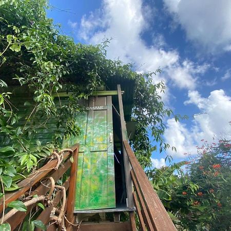 Gites Titanse, La Cabane Dans L Arbre Cadet  ภายนอก รูปภาพ